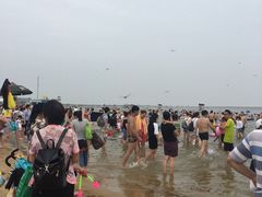 -碧海金沙