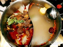 -手选潮汕鲜活牛肉火锅(二七广场店)