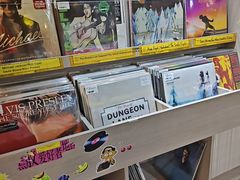-浣熊唱片店(上海影城店)