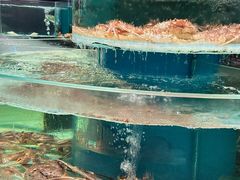 -许家菜.艺创菜(仁和新城店)