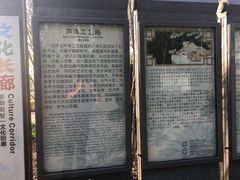 -白洋淀景区