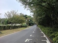-宜兴龙背山森林公园