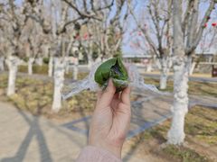 -许阿姨糕团店(南京总店)