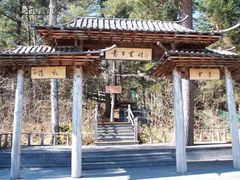 -五营红松林海景区