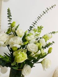 -美肤盾祛痘·问题肌头疗管理中心