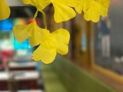 -卤教授老火锅