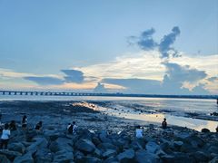 -宝安西湾红树林湿地公园