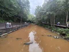 -茅兰沟国家森林公园