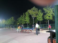 -东升文体公园