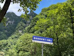 -王顺山国家森林公园