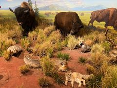 -陕西自然博物馆