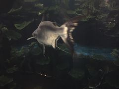 -运城海洋馆