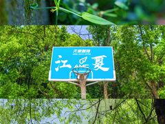 -青龙山国家森林公园