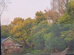 -J Create城市露营咖啡·简餐·宠物(上海动物园店)