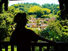 -杨家堂村