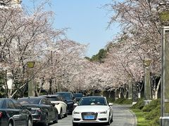 -苏宁钟山国际高尔夫酒店大堂酒廊