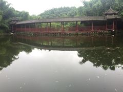 沐川竹海-沐川竹海旅游景区