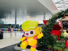 -温州龙湾国际机场