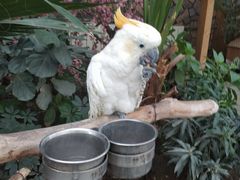 -南宫五洲植物乐园