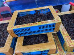 -华威西营里农产品批发市场