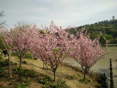 -襄阳烈士陵园(襄城区)