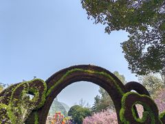 -南山植物园