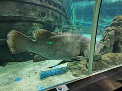 -锦艺城海洋馆