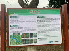 -广西壮族自治区药用植物园