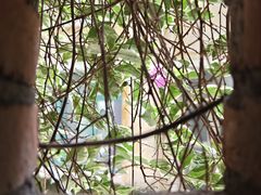 -广州市紫泥堂文化创意园景区