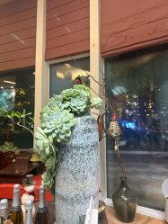 -娇玫荟SPA