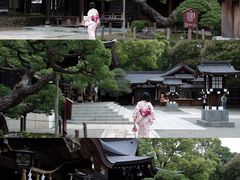 -水前寺成趣园