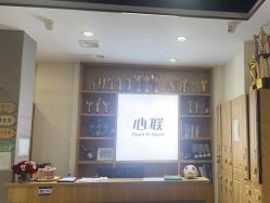 -心联形象设计·流星染
