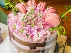 蓝莓淡奶油蛋糕-小苍兰风铃草蛋糕甜品(沈阳店)