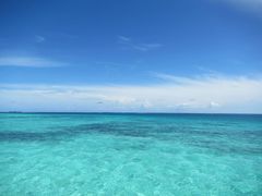 -中央格兰德岛温泉度假酒店 - 全包