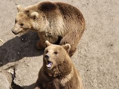 -哈尔滨北方森林动物园