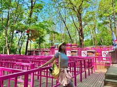 -帽儿山风景区
