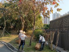-纪念孙中山市政公园