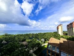 -三亚湾海居铂尔曼度假酒店