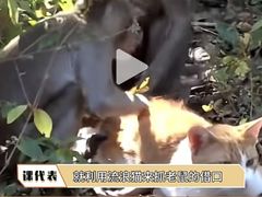 -昆明动物园