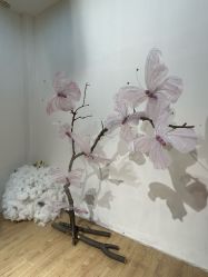 -爱儿美儿童摄影(奥森公园店)