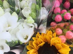 -双季花艺园艺市场(浦东店)