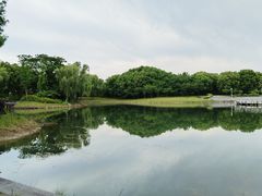 -贡湖湾湿地公园