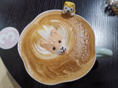 -逗柴咖啡屋·狗咖猫咖宠物桌游