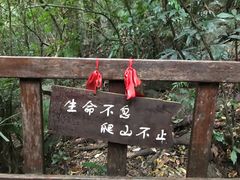 -七仙岭温泉国家森林公园