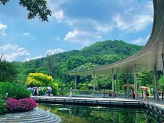 -云溪植物园