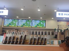 -雾与山茶(大禹城店)