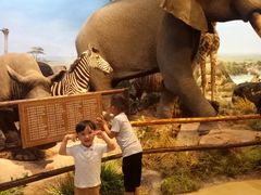 -陕西自然博物馆