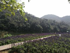 -广州市石门国家森林公园