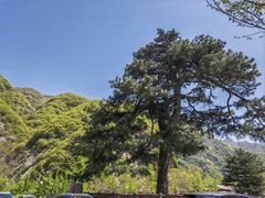 -秦岭终南山世界地质公园翠华山景区