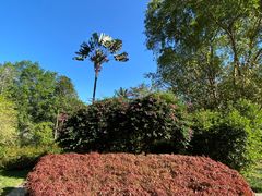 -中国科学院西双版纳热带植物园